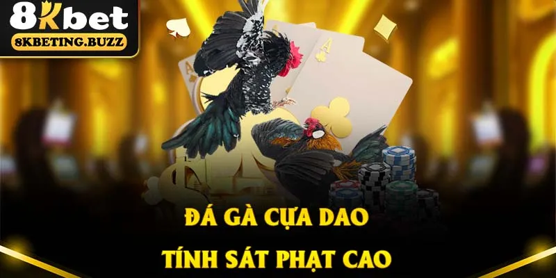 Chọi gà cựa dao nổi tiếng bởi mức độ đẫm máu tàn nhẫn