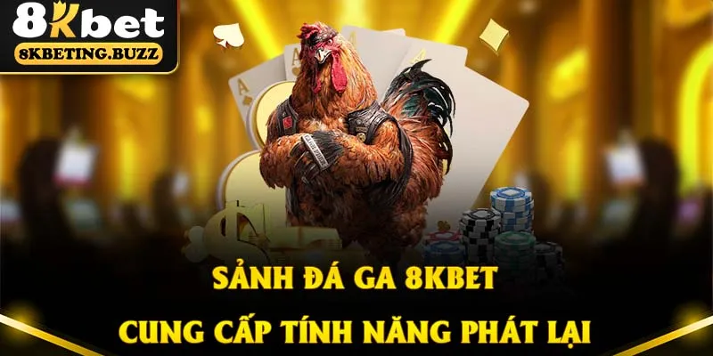 Đá gà 8KBET cung cấp tính năng xem lại hữu ích