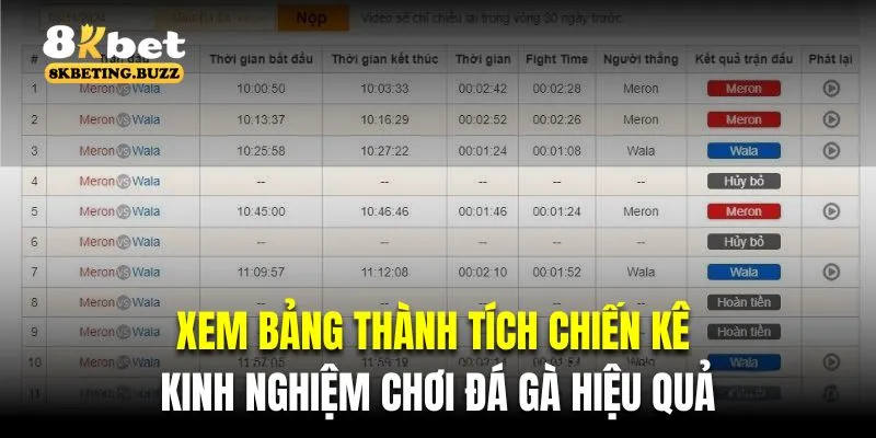 Xem bảng thành tích chiến kê là kinh nghiệm chơi đá gà hiệu quả