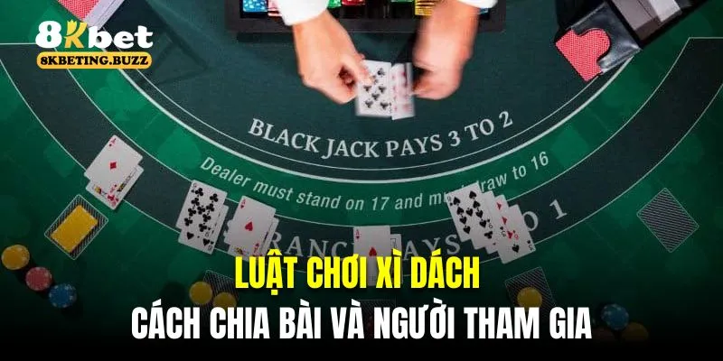 Luật chơi xì dách về cách chia bài và người tham gia