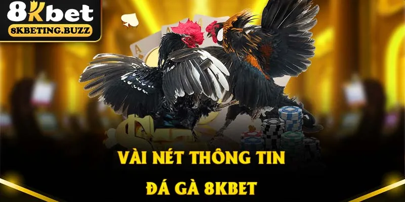 Thông tin thú vị về sảnh chọi kê trực tuyến nhà cái