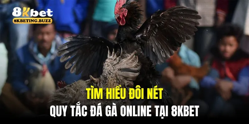 Tìm hiểu đôi nét về quy tắc đá gà online tại 8KBET 